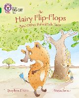 Book Cover for The Hairy Flip-Flops and other Fulani Folk Tales by Stephen Davies