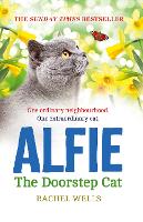 Book Cover for Alfie the Doorstep Cat by Rachel Wells