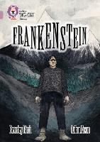 Book Cover for Frankenstein by Beverley Birch