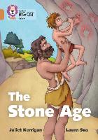 Book Cover for The Stone Age Diaries by Juliet Kerrigan