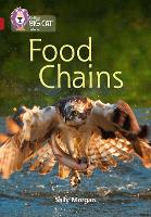 Book Cover for Food Chains by Sally Morgan