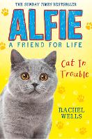 Book Cover for Cat in Trouble by Rachel Wells