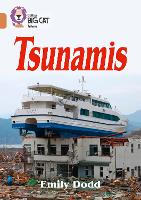 Book Cover for Tsunamis by Emily Dodd