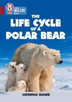 Book Cover for The Life Cycle of a Polar Bear by Catriona Clarke