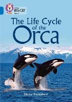 Book Cover for The Life Cycle of the Orca by Moira Butterfield