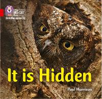 Book Cover for It Is Hidden by Paul Harrison