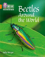 Book Cover for Beetles Around the World by Sally Morgan