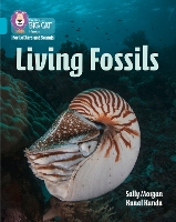 Book Cover for Living Fossils by Sally Morgan