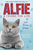 Book Cover for Alfie Far From Home by Rachel Wells