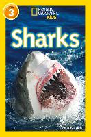 Book Cover for Sharks by Anne Schreiber