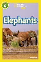 Book Cover for Elephants by Laura Marsh