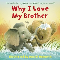 Book Cover for Why I Love My Brother by Daniel Howarth