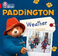 Book Cover for Paddington by Rebecca Adlard