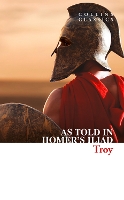 Book Cover for Troy by Homer