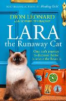 Book Cover for Lara The Runaway Cat by Dion Leonard, Sophie Pembroke