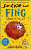 Book Cover for Fing by David Walliams