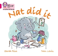 Book Cover for Nat Did It by Sarah Rice