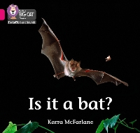 Book Cover for Is it a Bat? by Karra McFarlane