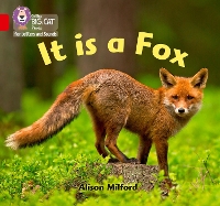 Book Cover for It is a Fox by Alison Milford