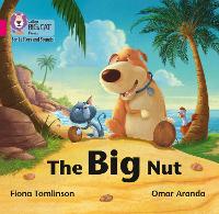 Book Cover for The Big Nut by Fiona Tomlinson