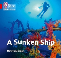 Book Cover for A Sunken Ship by Hawys Morgan