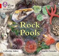 Book Cover for Rock Pools by Catherine Baker