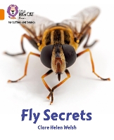 Book Cover for Fly Secrets by Clare Helen Welsh