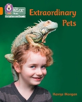 Book Cover for Extraordinary Pets by Hawys Morgan