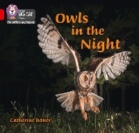 Book Cover for Owls in the Night by Catherine Baker