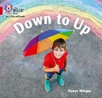 Book Cover for Down to Up by Hawys Morgan