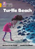 Book Cover for Turtle Beach by Barbara Arrindell