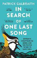 Book Cover for In Search of One Last Song by Patrick Galbraith