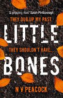 Book Cover for Little Bones by N V Peacock