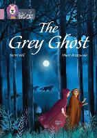 Book Cover for The Grey Ghost by Stuart Hill