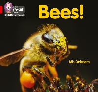 Book Cover for Bees! by Mio Debnam