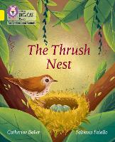 Book Cover for The Thrush Nest by Catherine Baker