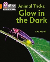 Book Cover for Glow in the Dark by Rob Alcraft