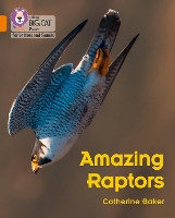 Book Cover for Amazing Raptors by Catherine Baker