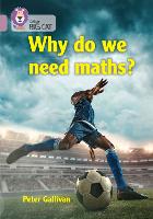 Book Cover for Why Do We Need Maths? by 