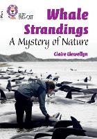 Book Cover for Whale Strandings by Claire Llewellyn