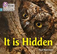 Book Cover for It Is Hidden by Paul Harrison