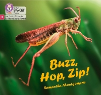 Book Cover for Buzz, Hop, Zip! by Samantha Montgomerie