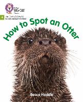 Book Cover for How to Spot an Otter by Rebecca Heddle