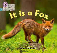 Book Cover for It Is a Fox by Alison Milford