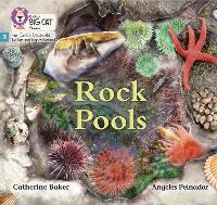 Book Cover for Rock Pools by Catherine Baker