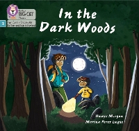 Book Cover for In the Dark Woods by Hawys Morgan