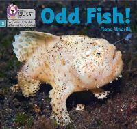 Book Cover for Odd Fish! by Fiona Undrill