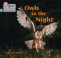 Book Cover for Owls in the Night by Catherine Baker