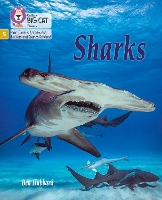 Book Cover for Sharks by Ben Hubbard