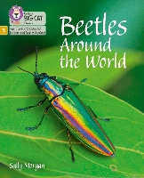 Book Cover for Beetles Around the World by Sally Morgan